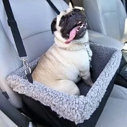 Devoted Doggy - Deluxe Dog Booster