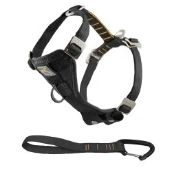 kurgo Kurgo Tru-Fit Crash Tested Dog Harness